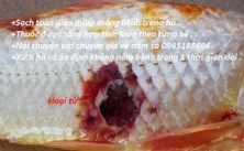 Hoại tử thân ở cá chép KOI - thuốc chữa hoại tử 